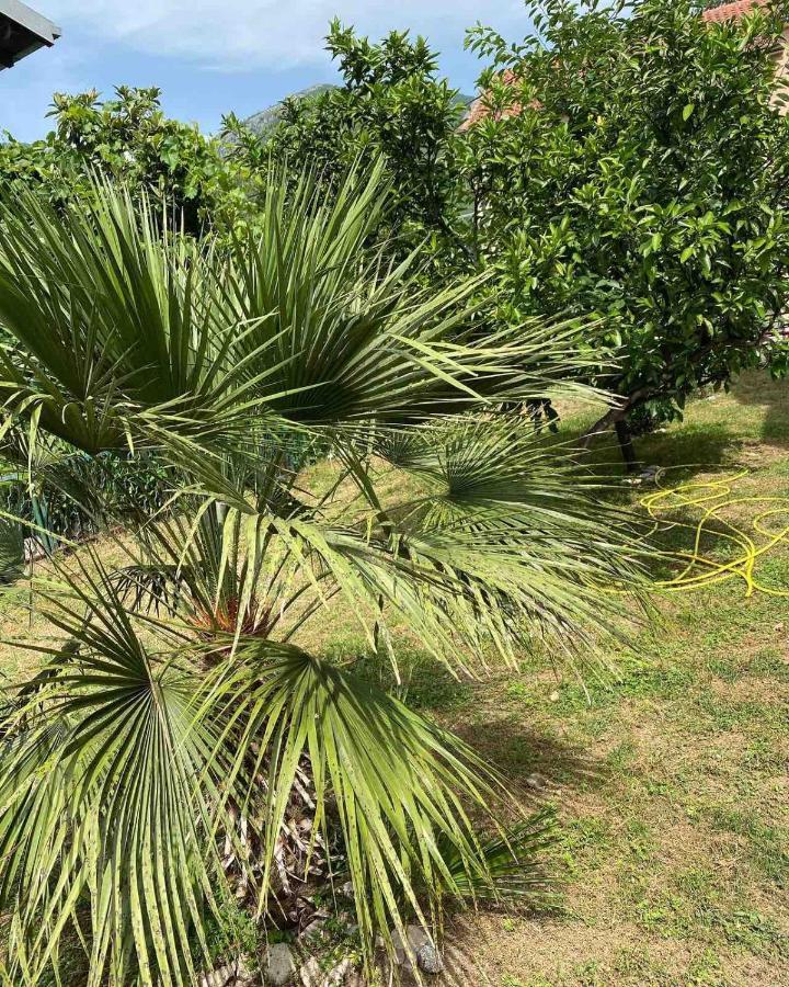 Apartmani Zelenika Herceg Novi Exteriör bild
