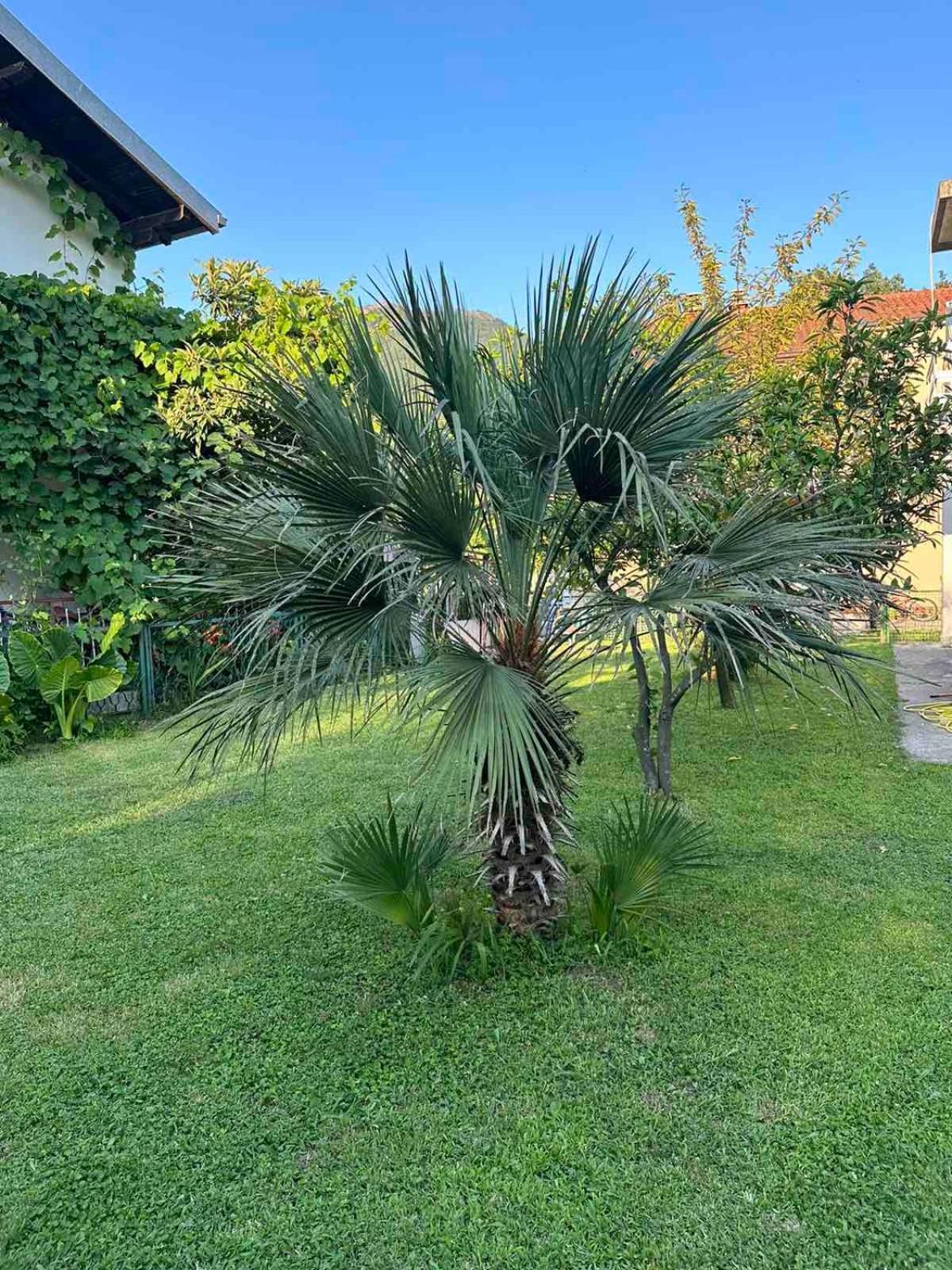 Apartmani Zelenika Herceg Novi Exteriör bild