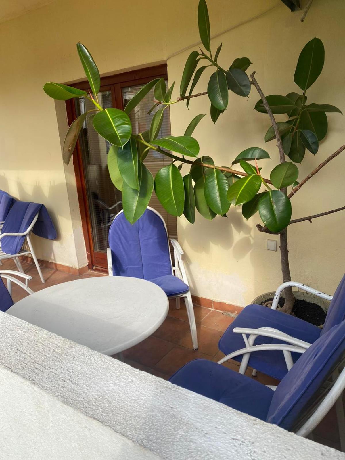 Apartmani Zelenika Herceg Novi Rum bild