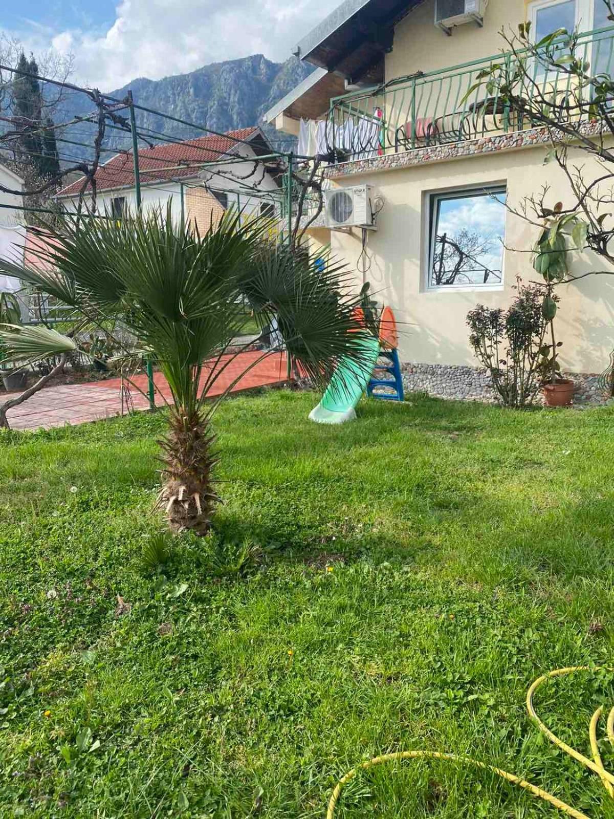 Apartmani Zelenika Herceg Novi Rum bild