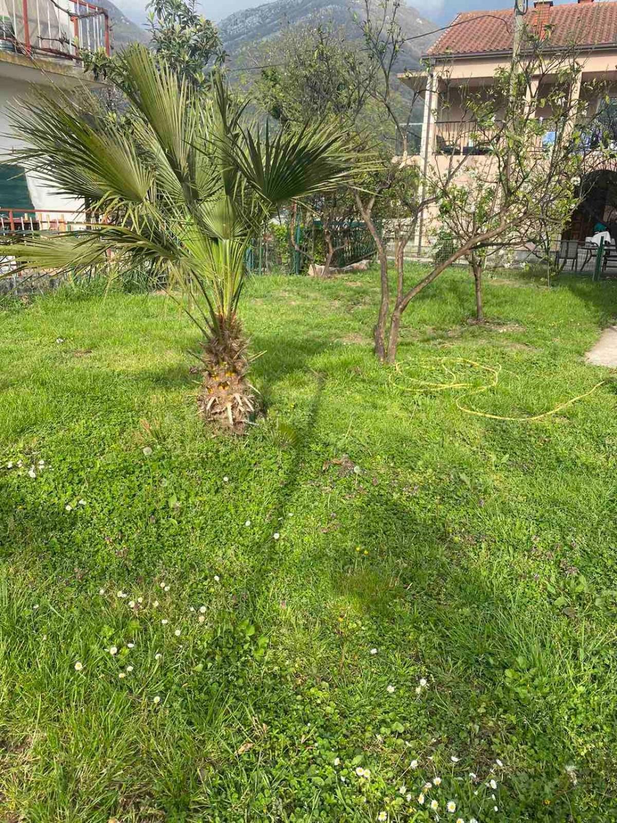 Apartmani Zelenika Herceg Novi Rum bild